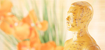 IPTLVL1-Course-Header-364×174